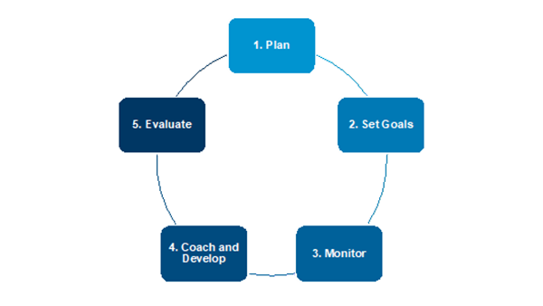 Business Performance Management Cycle