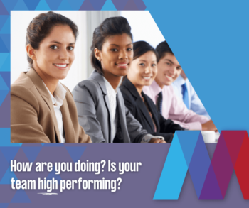 FREE team building assessment - is your team high performing?